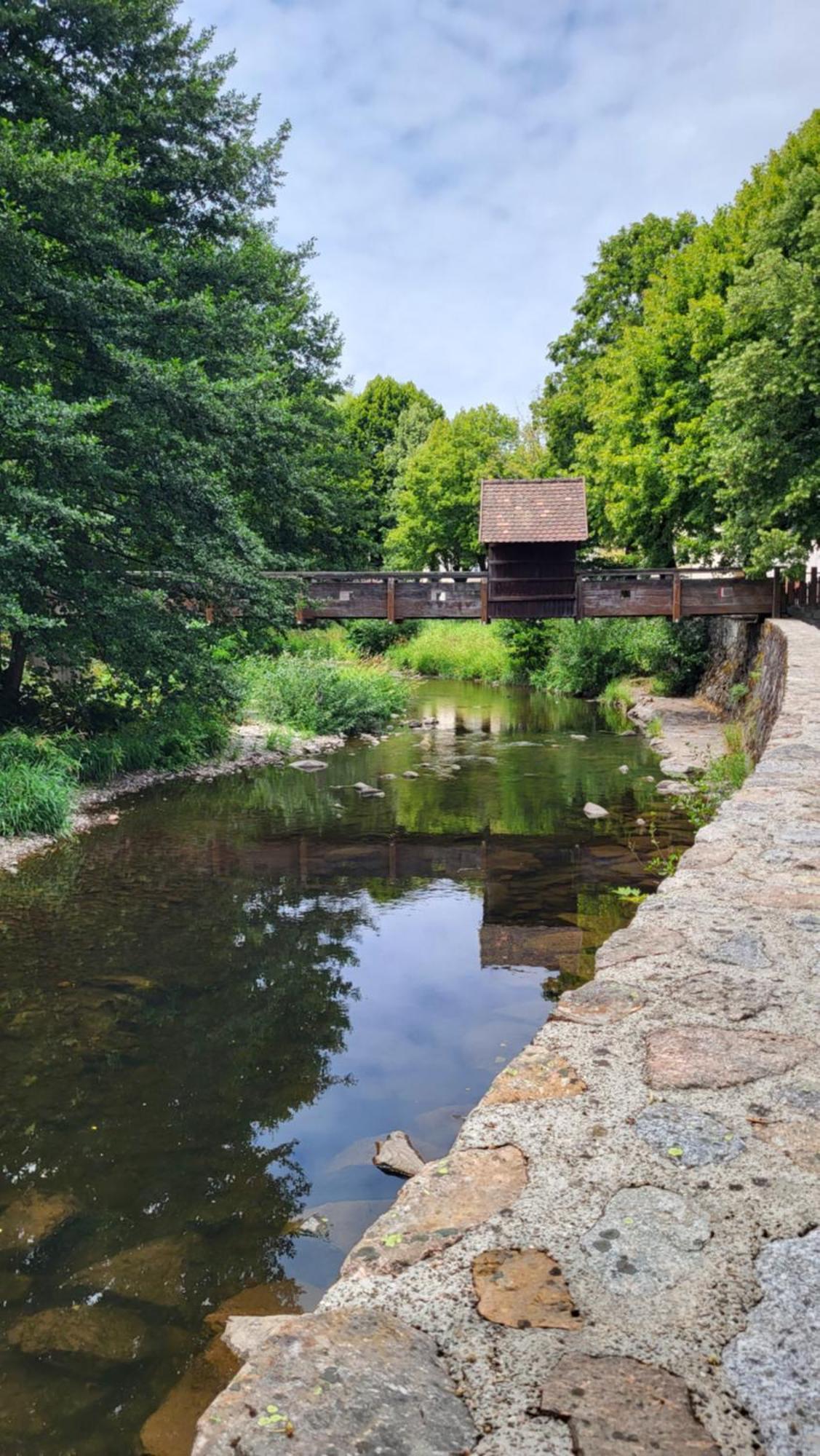 Gite Violette Et Pierrot Villa Masevaux-Niederbruck Exterior foto