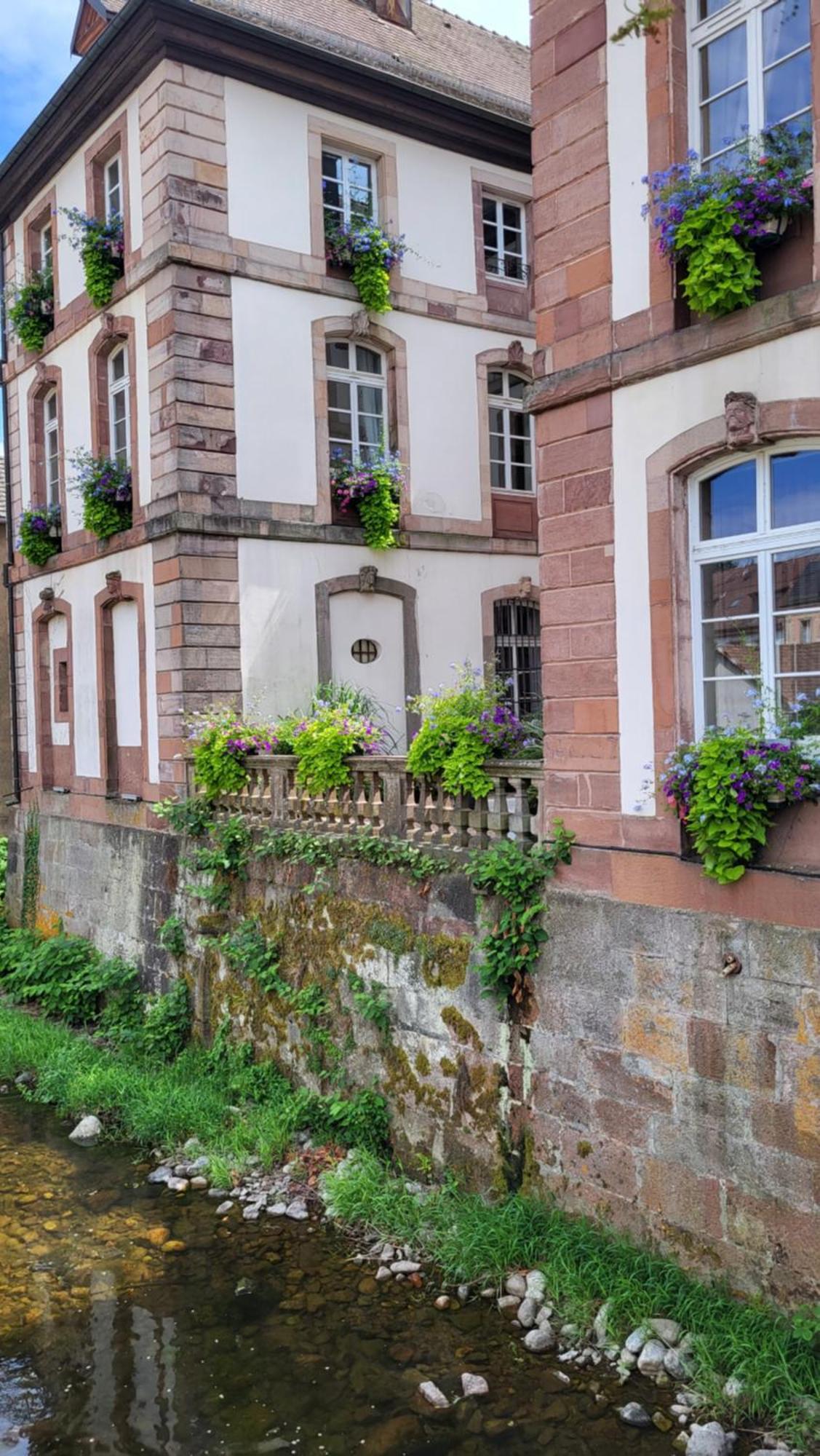 Gite Violette Et Pierrot Masevaux-Niederbruck Exterior foto