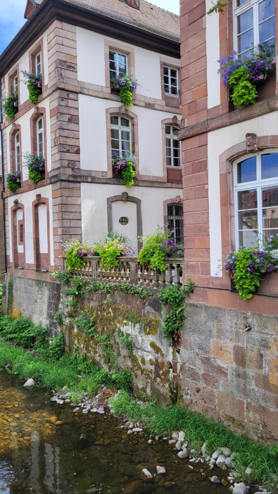 Gite Violette Et Pierrot Villa Masevaux-Niederbruck Exterior foto