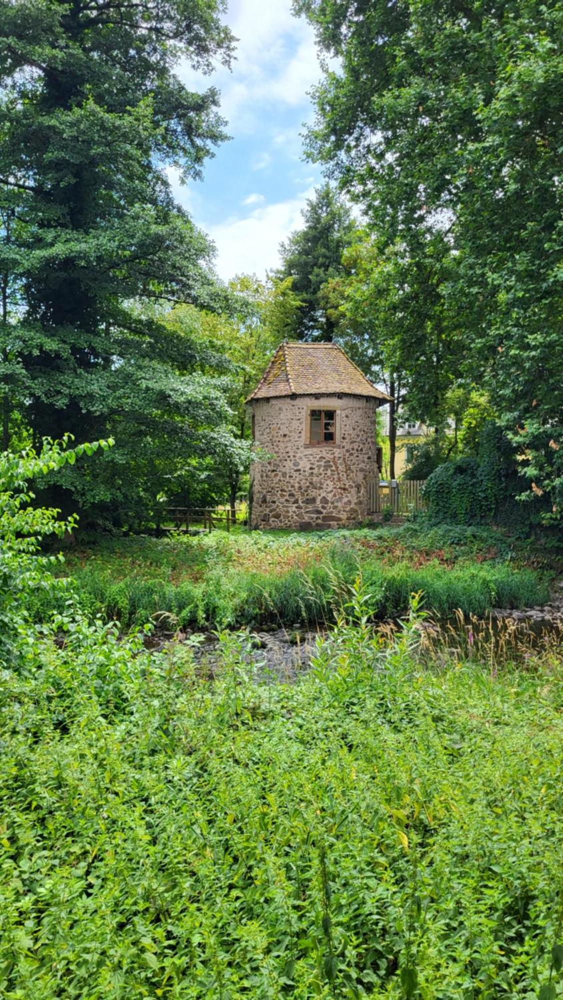 Gite Violette Et Pierrot Masevaux-Niederbruck Exterior foto