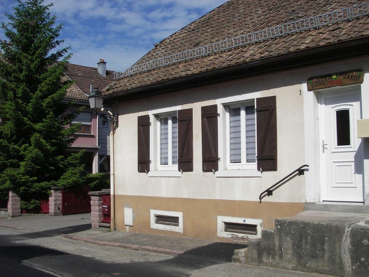 Gite Violette Et Pierrot Villa Masevaux-Niederbruck Exterior foto