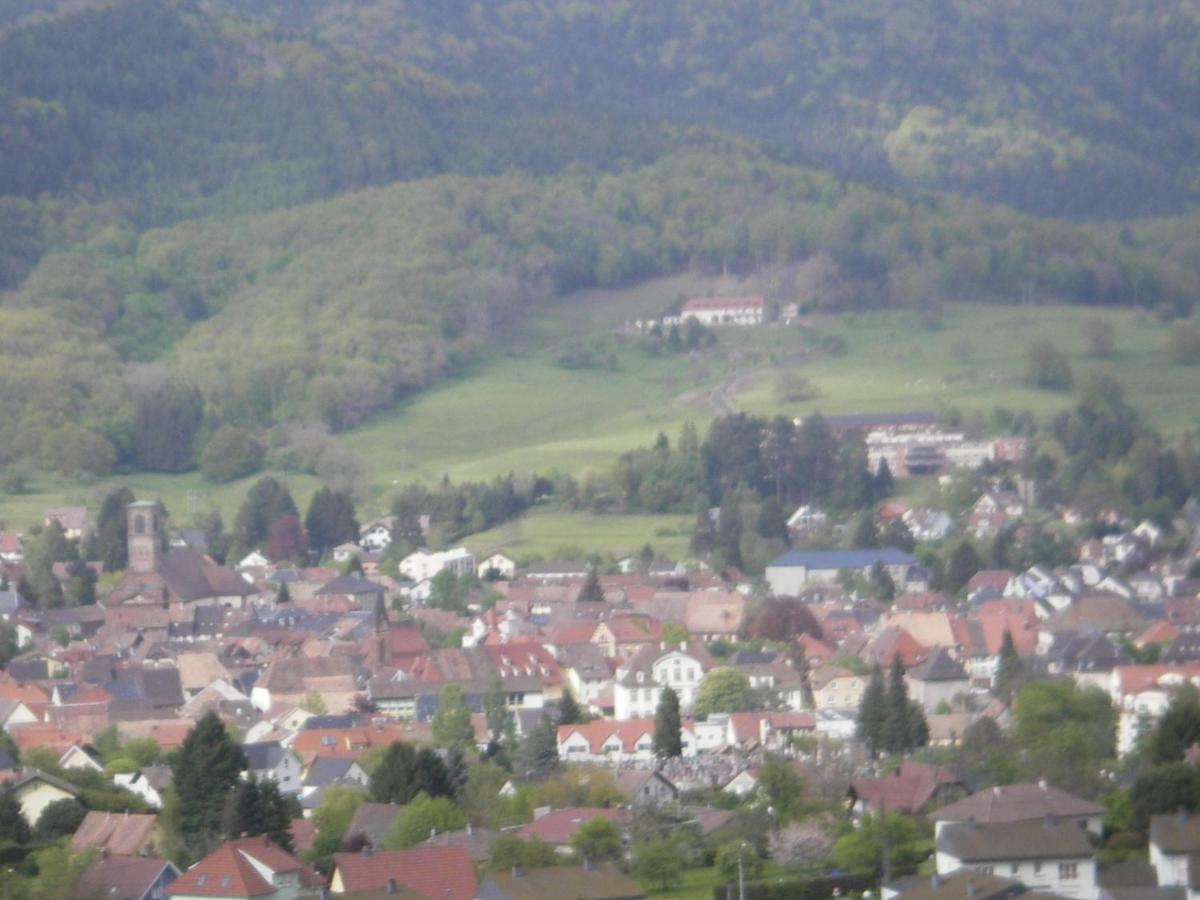 Gite Violette Et Pierrot Villa Masevaux-Niederbruck Exterior foto